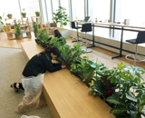 17 京橋エドグラン オフィス 観葉植物 生花 活け込み 季節装飾