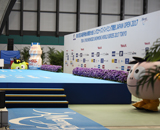 日本選手権 水泳球技大会 シンクロナイズドスイミング競技 シンクロジャパンオープン 2017