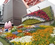 17 東京タワー 花壇 春