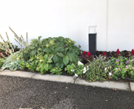 17 稲城市 若葉台 ベリエの丘 クリニック 観葉植物レンタル 草花 花壇