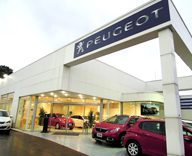 17 PEUGEOT 成城店 観葉植物 プリザーブドフラワー レンタル