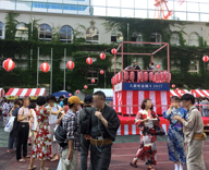 17 銀座中央通り 中央区立 泰明小学校 数寄屋橋公園 ゆかたで銀ぶら 竹 植栽