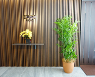 17 船橋 スターリンジャパン オフィス 観葉植物 レンタル