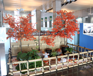 17 晴海 客船ターミナル 日本庭園 秋 季節装飾