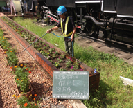 17 新橋駅前 SL広場 草花 植え替え