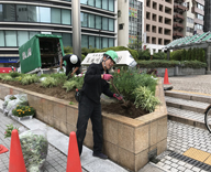 17 中央区 晴海通り 築地川銀座公園 草花 植付