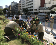 17 中央区 晴海通り 築地川銀座公園 草花 植付