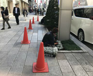 17 銀座 中央通り 花壇 植替え