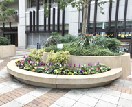 17 月島駅 高層マンション 中庭 花壇 植え替え
