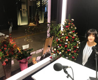 17 中央FM スタジオ クリスマスツリー