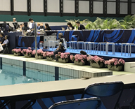 17 FINA airweave 競泳ワールドカップ 東京大会 生花装飾