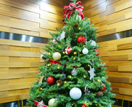17 銀座 ザ・ゴール オフィス 生木 クリスマスツリー