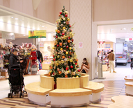 17 荻窪 荻窪タウンセブン 商業施設 クリスマス装飾