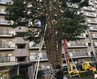 17 新浦安 マンション シンボルツリー イルミネーション 装飾