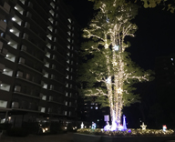 17 新浦安 マンション シンボルツリー イルミネーション 装飾