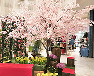 18 新横浜 プリンスペペ 桜装飾