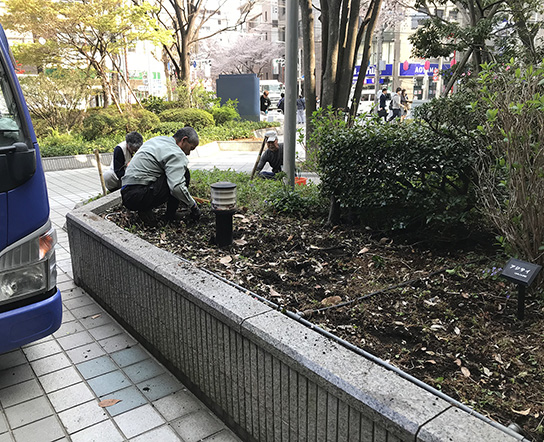 18 中野区 ビル 外構植栽 改修工事