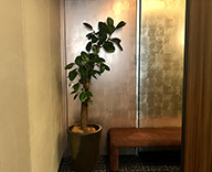 18 江東区 オフィス 観葉定期レンタル 造竹装飾