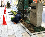 銀座 1丁目 8丁目 除草 コリウス