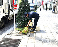 銀座 1丁目 8丁目 除草 コリウス