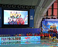 18 パンパシフィック 水泳大会 東京辰巳国際水泳場 観葉植物 生花装飾 表彰用花束