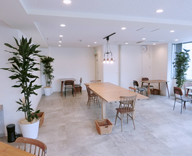 ENGLISH COMPANY 神戸スタジオ レンタル 観葉植物 設置