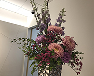 丸の内 オフィス 季節装飾 観葉植物 レンタル 生花定期