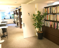 赤坂 オフィス 観葉植物 レンタル hitotoki ウンベラータ