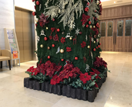 ホテル サンルートソプラ神戸アネッサ クリスマス装飾
