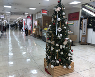 銀座５丁目 銀座ファイブ クリスマス装飾