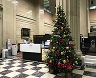 中央区 銀行 エントランス クリスマスツリー 設置
