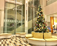 中央区 銀行 エントランス クリスマスツリー
