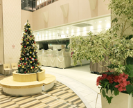 中央区 銀行 エントランス クリスマスツリー 設置