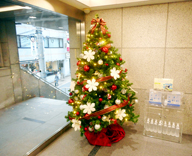 渋谷 日本橋 八重洲  オフィスビル エントランス クリスマツリー 設置