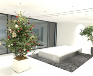 モミの木 癒しの香り クリスマスツリー 天王洲アイル オフィスロビー 設置