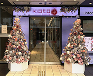 京都 商業施設入り口前 クリスマスツリー