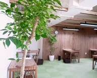 ENGLISH COMPANY 神田スタジオ レンタル 観葉植物 設置