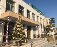 船橋市 自動車教習所 クリスマス装飾