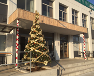 船橋市 自動車教習所 クリスマス装飾