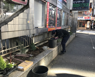 六本木 ロア六本木 サイン下 花壇 花苗 植え替え