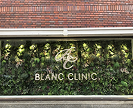 ＢＬＡＮＣ ＣＬＩＮＩＣ大阪店 ショーウインドウ 壁面 店内 グリーン 用意