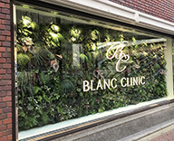 ＢＬＡＮＣ ＣＬＩＮＩＣ大阪店 ショーウインドウ 壁面 店内 グリーン 用意