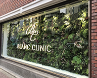 ＢＬＡＮＣ ＣＬＩＮＩＣ大阪店 ショーウインドウ 壁面 店内 グリーン 用意