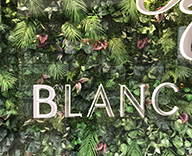 ＢＬＡＮＣ ＣＬＩＮＩＣ大阪店 ショーウインドウ 壁面 店内 グリーン 用意