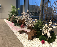 丸の内 オフィスエントランス 桜装飾