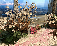 丸の内 オフィスエントランス 桜装飾