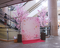 横浜 商業施設 桜装飾