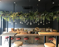 19 京都 レストラン THE BORING FOODS&ORDINARY COFFEE 造花グリーン装飾 納品