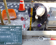 銀座中学校前 街路樹植栽 植樹フェンス ウミネコザクラ 桜 Futa-toki