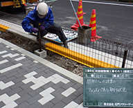 銀座中学校前 街路樹植栽 植樹フェンス ウミネコザクラ 桜 Futa-toki